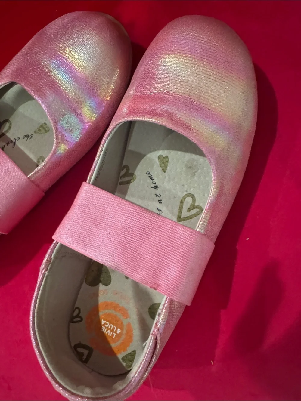Livie & Luca Shimmery Pink Girls' Mary Jane Flats barely worn great condition